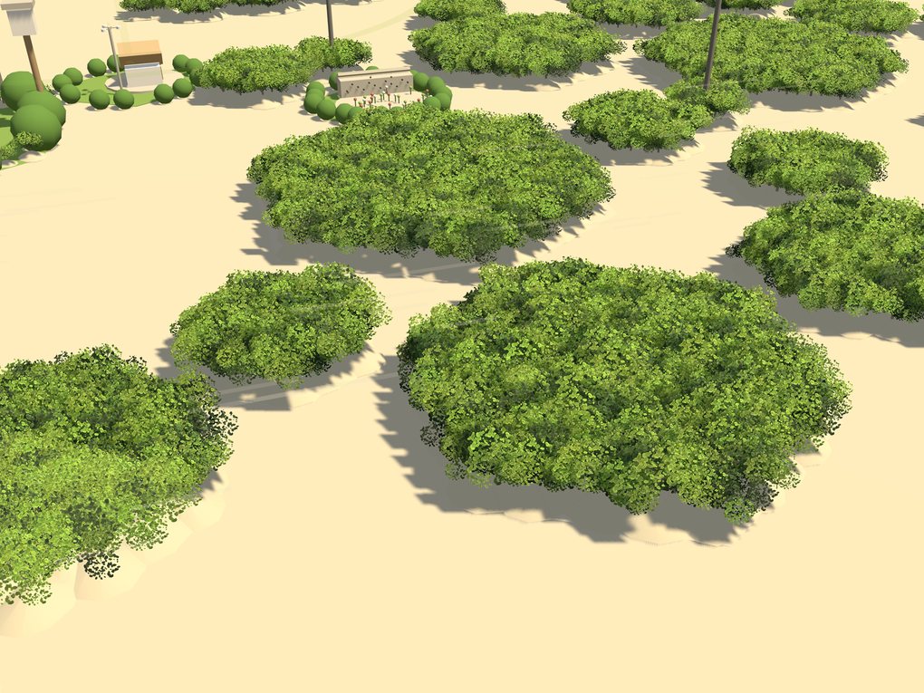 A hexagonal cell planted with young trees, bare ground between it and its neighbours.