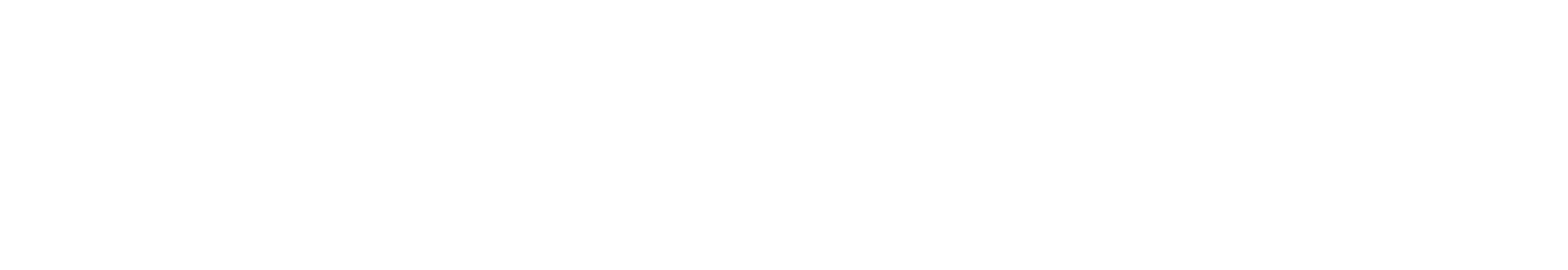 EFES GROUP