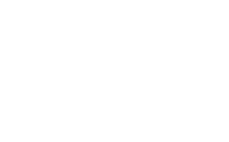 GOLDEN HAMMER