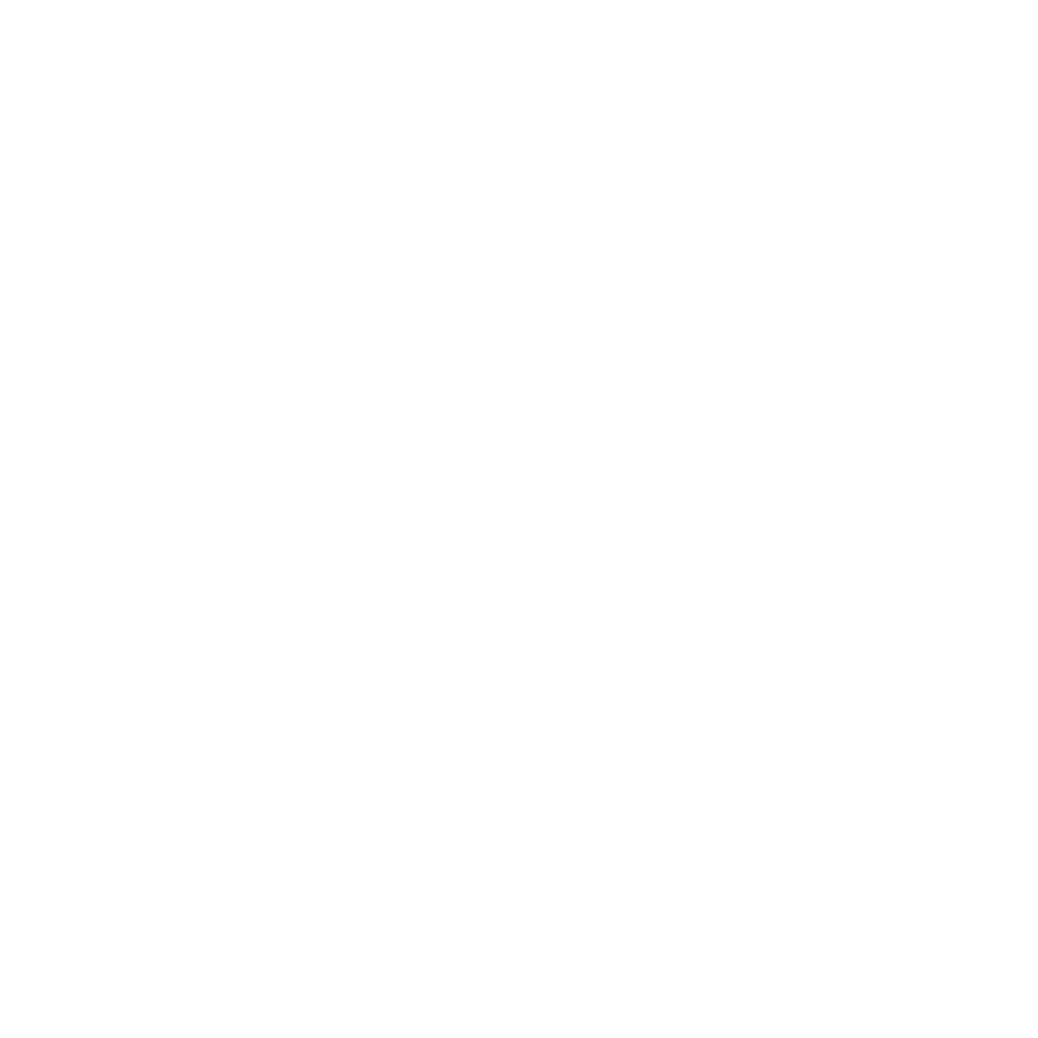 HUMAN NETWORK