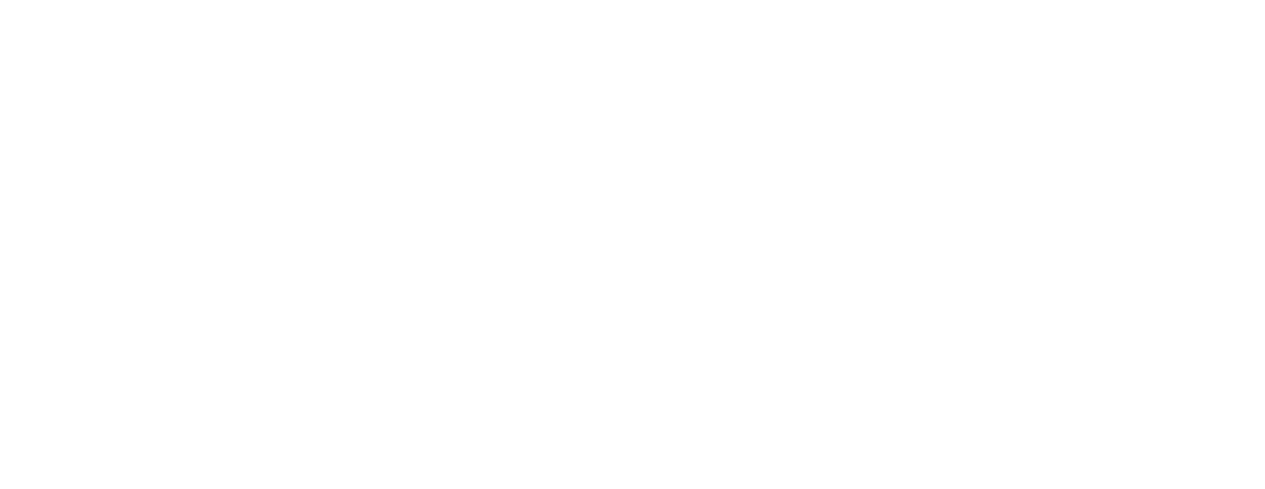 STARSCHASE