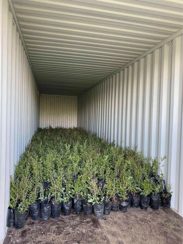 Tree Inoculation and Transportation