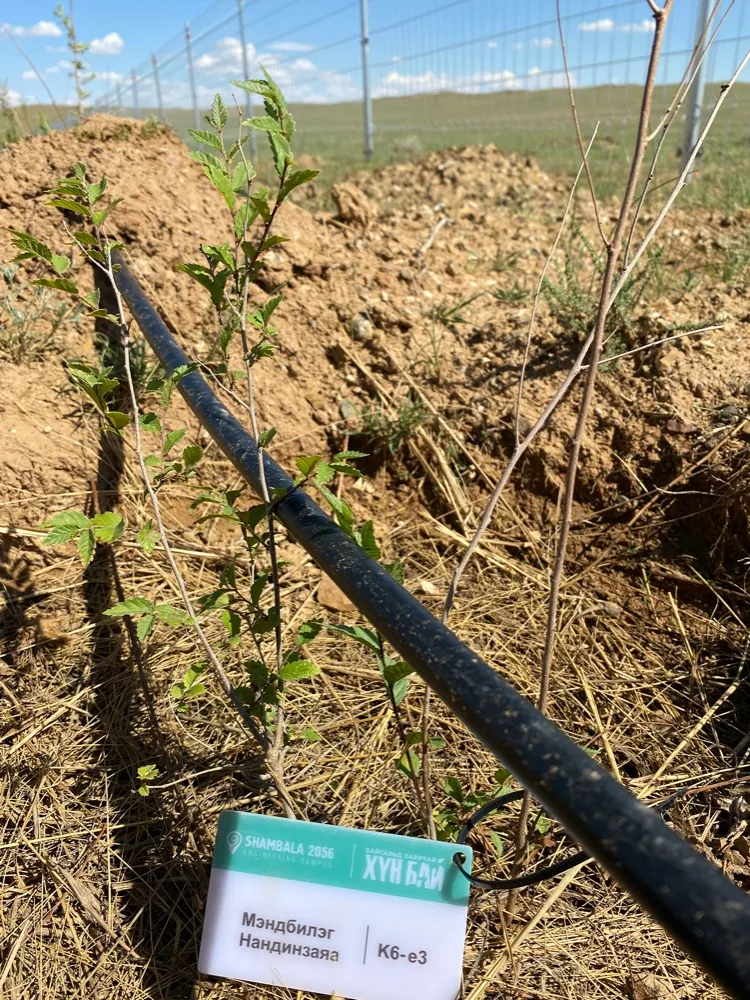 Installing an Irrigation System